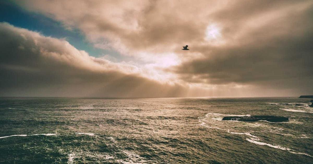 چگونه مانتو مناسب انتخاب کنیم؟