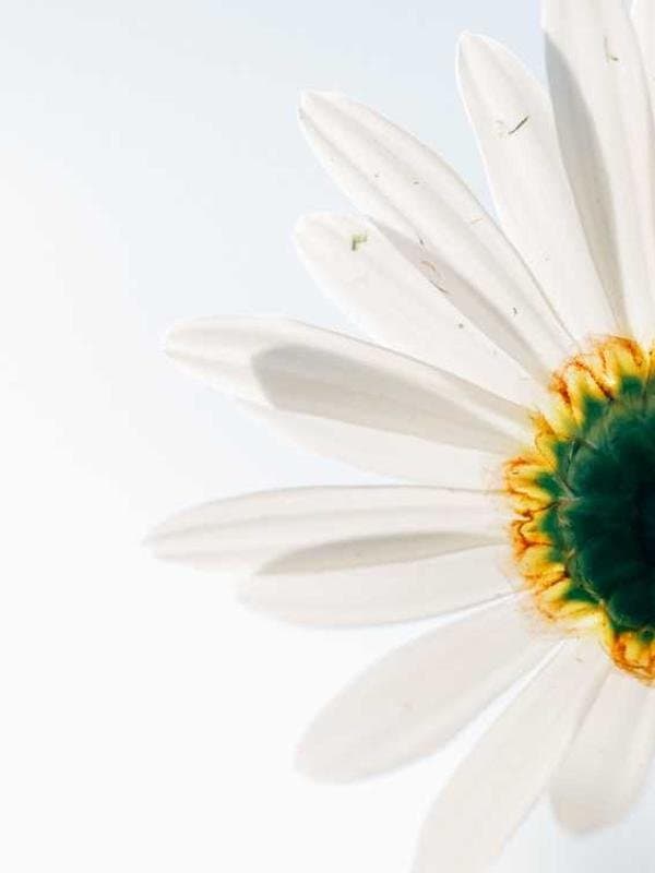 لباس بچگانه دخترانه